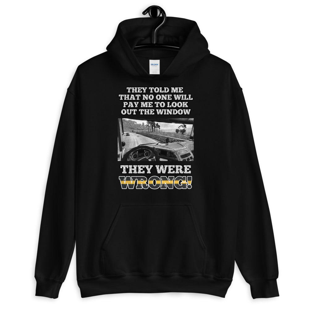 Sie sind falsch Hoodie