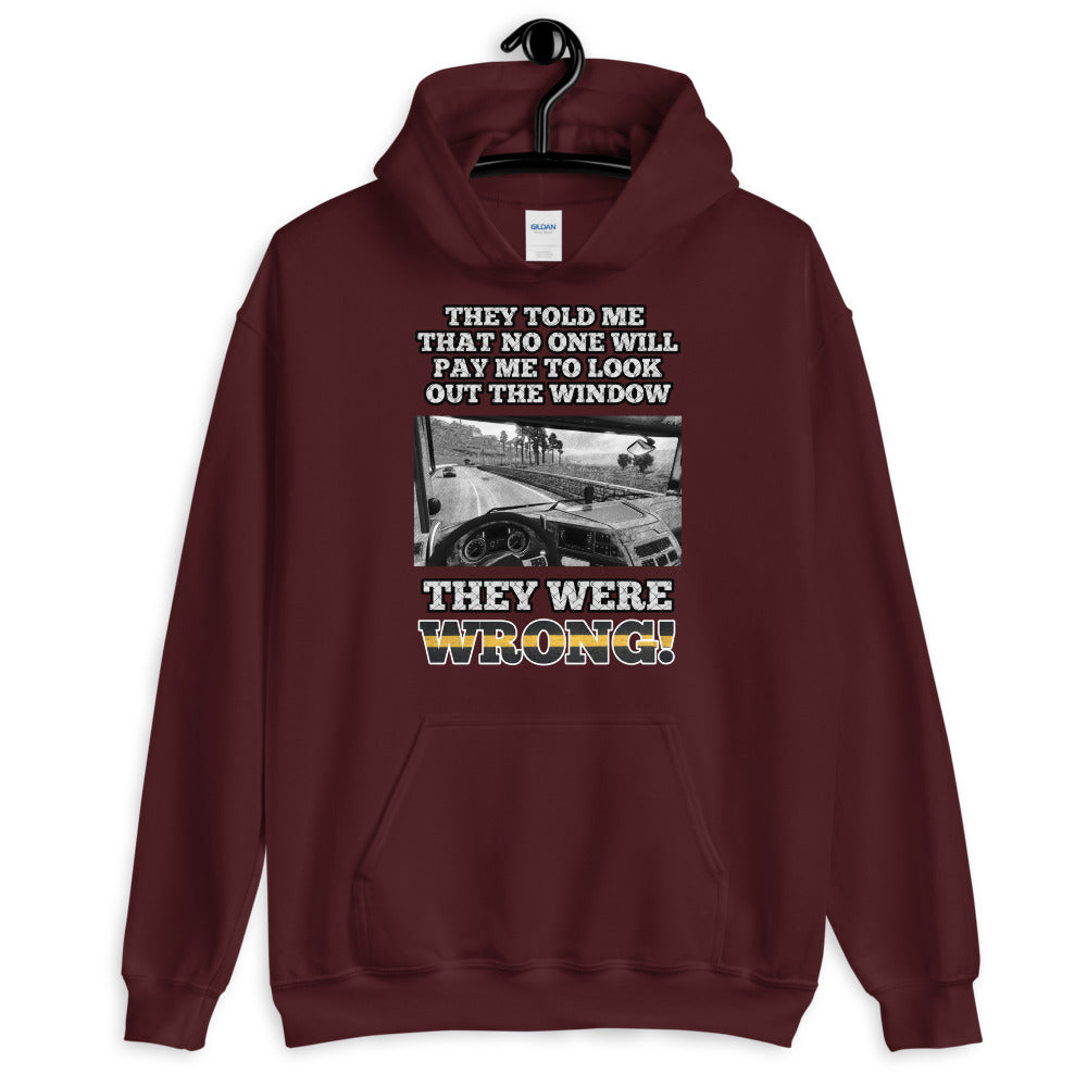 Sie sind falsch Hoodie