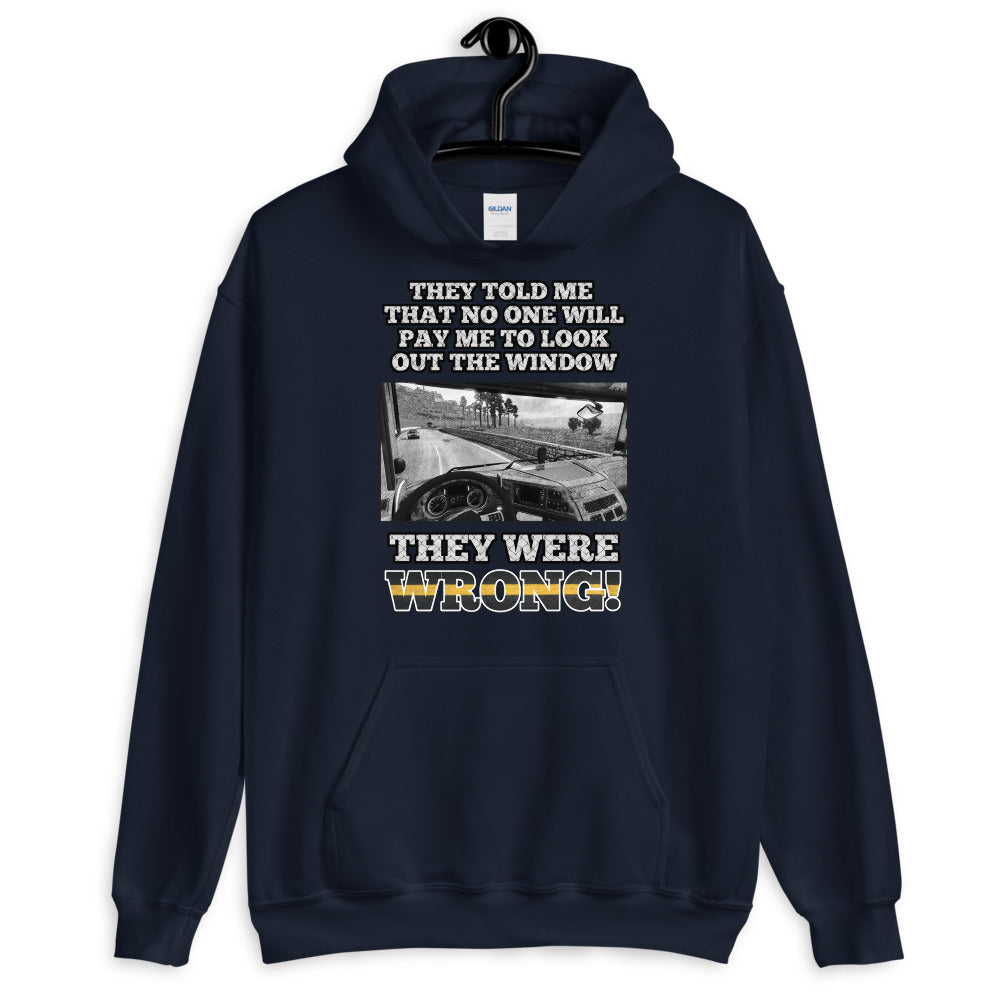 Sie sind falsch Hoodie