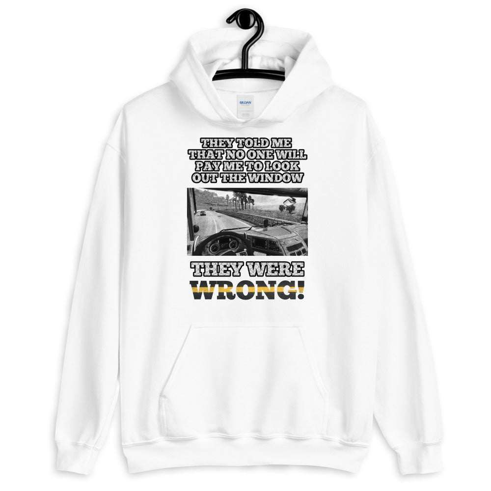 Sie sind falsch Hoodie