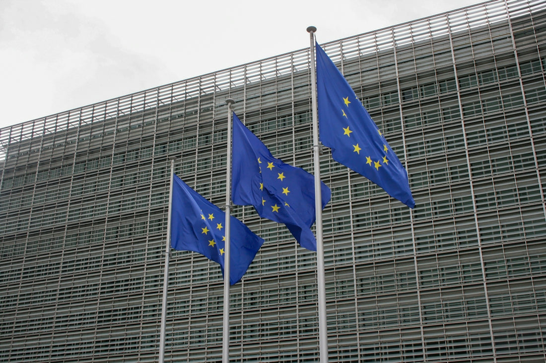 three european flags flying in front of a building