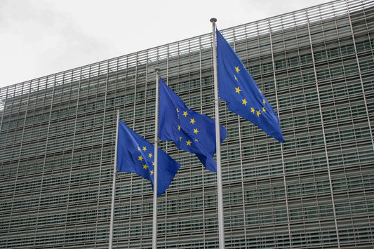 three european flags flying in front of a building