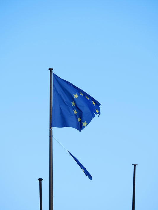 A european flag is flying in the wind