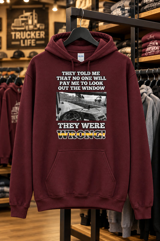 Sie sind falsch Hoodie