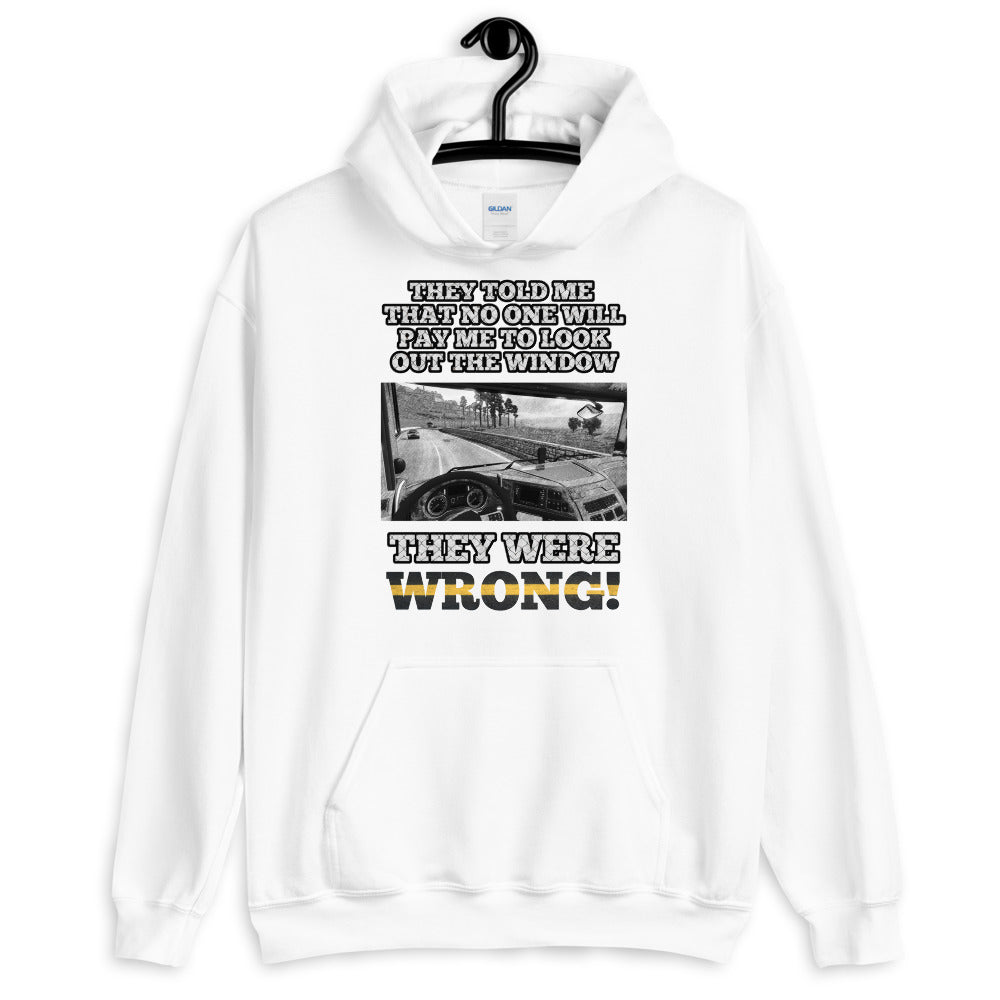 They're Wrong Hoodie